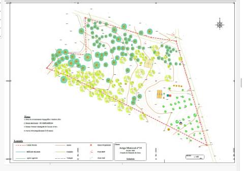 # Quinta nas Sobreiras Altas Oferta Imperdível - um sonho a ser realizado .