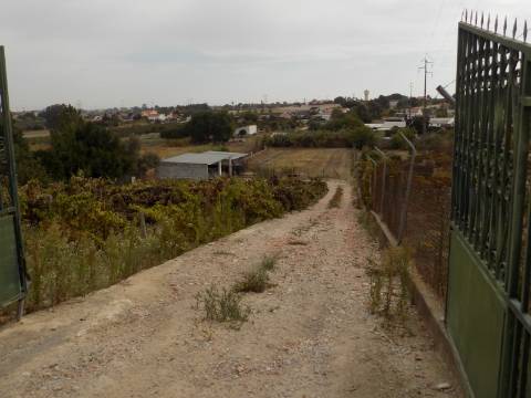 Quinta c/ Casa Tipo Bi Familiar e Armazém
