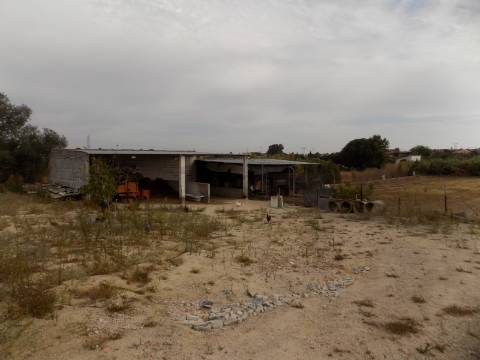 Quinta c/ Casa Tipo Bi Familiar e Armazém