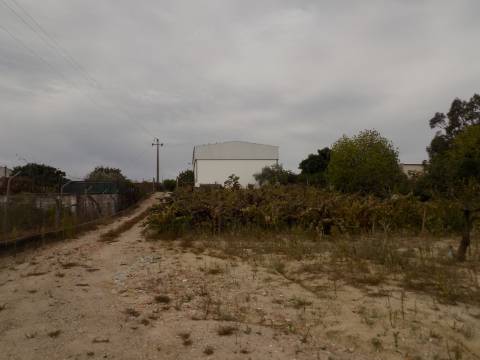 Quinta c/ Casa Tipo Bi Familiar e Armazém