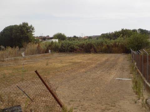 Quinta c/ Casa Tipo Bi Familiar e Armazém