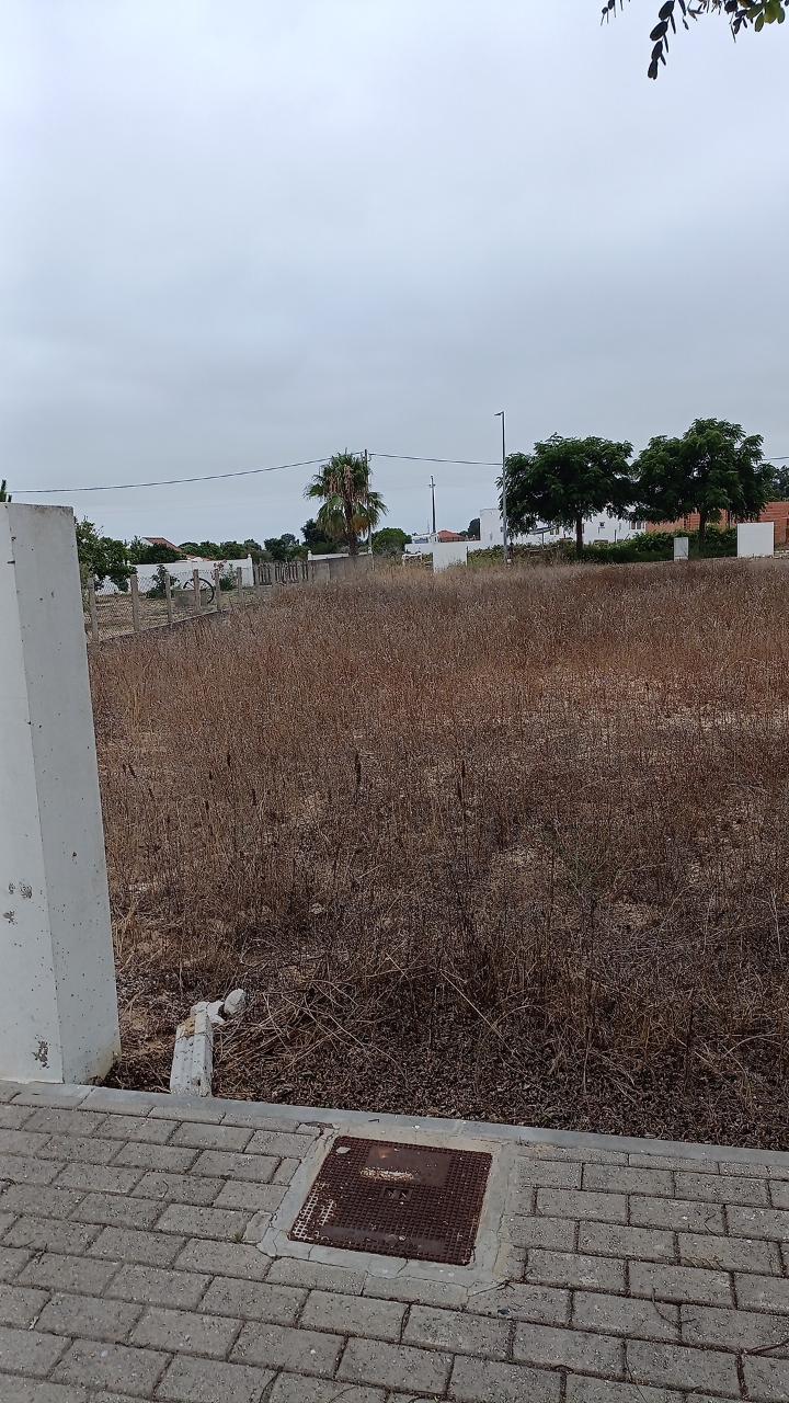 Três lotes para construção em, Melides