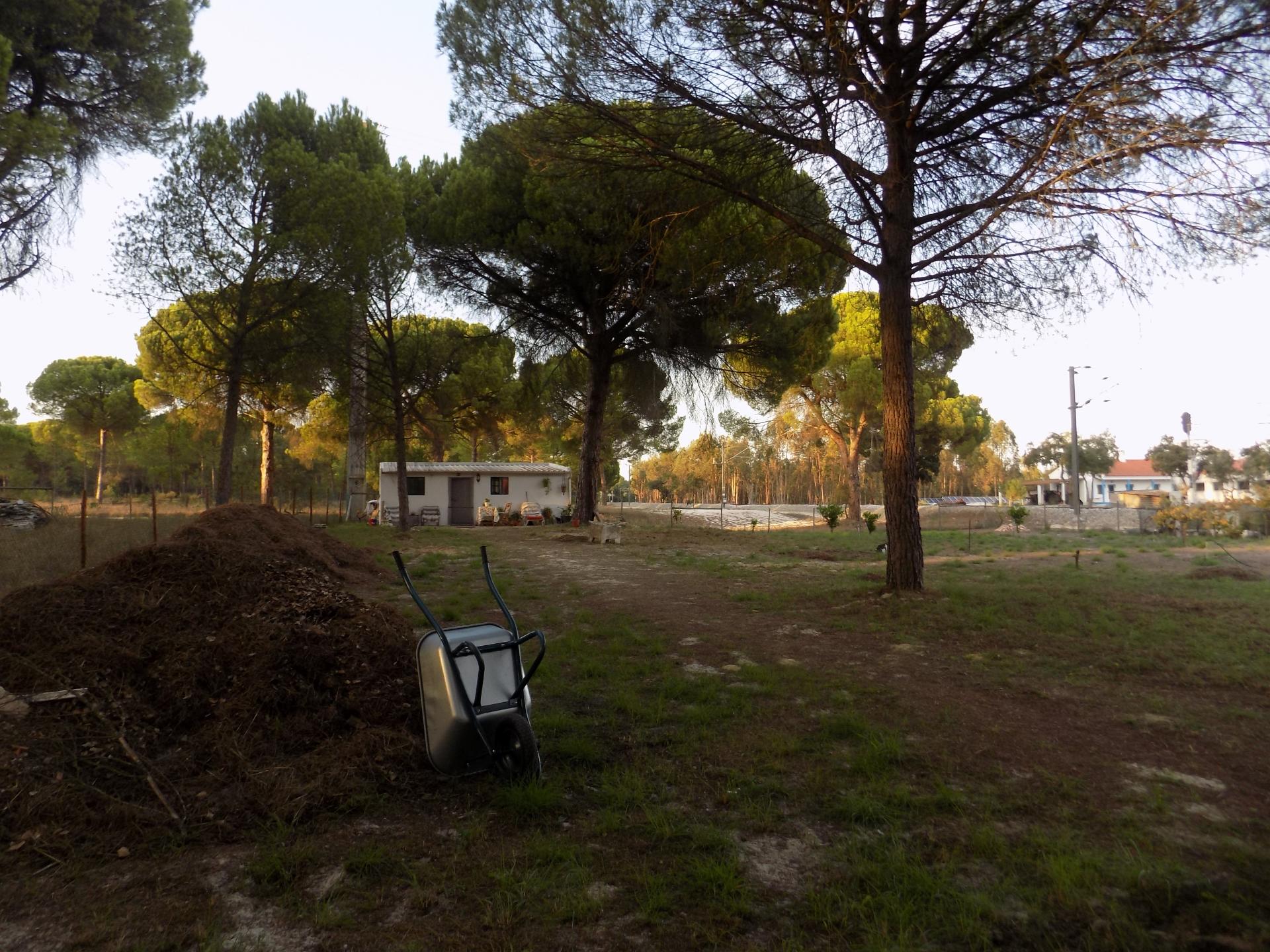 Terreno (tem um T0)