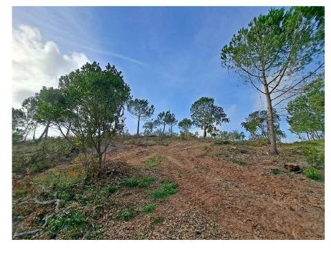 Terreno com vista para o mar e projeto aprovado para construção