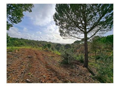 Terreno com vista para o mar e projeto aprovado para construção