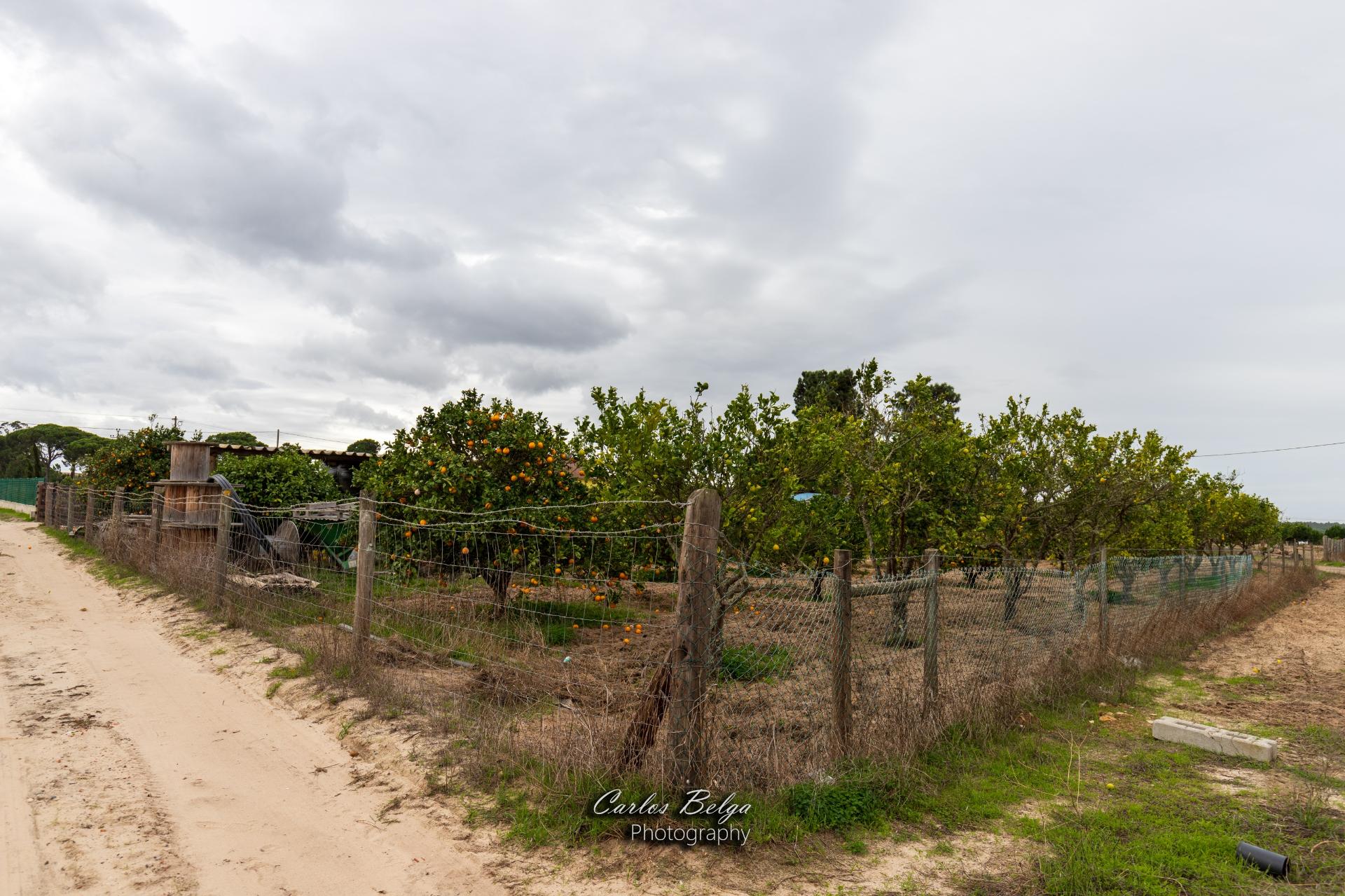 terreno com projecto de construção de Armazém