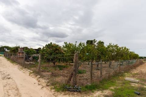terreno com projecto de construção de Armazém