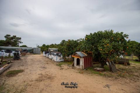 terreno com projecto de construção de Armazém