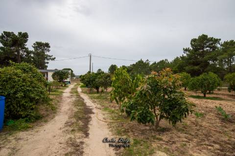 terreno com projecto de construção de Armazém