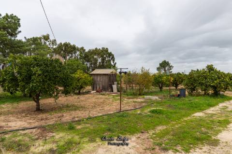terreno com projecto de construção de Armazém