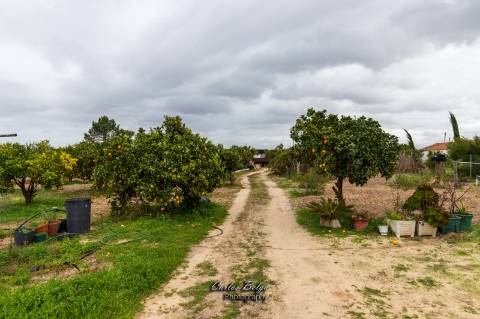 terreno com projecto de construção de Armazém