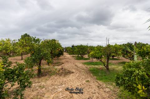 terreno com projecto de construção de Armazém