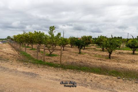 terreno com projecto de construção de Armazém