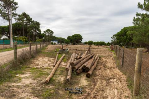 terreno com projecto de construção de Armazém