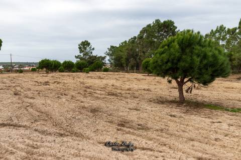 terreno com projecto de construção de Armazém