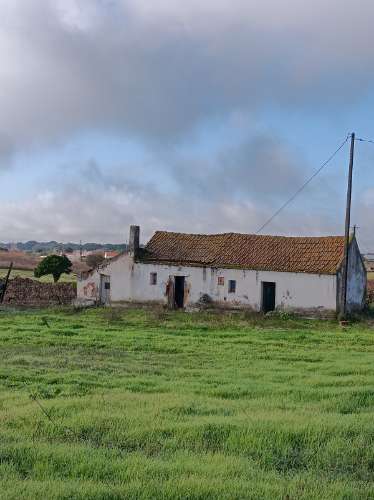 Terreno com casa de habitação em ruinas