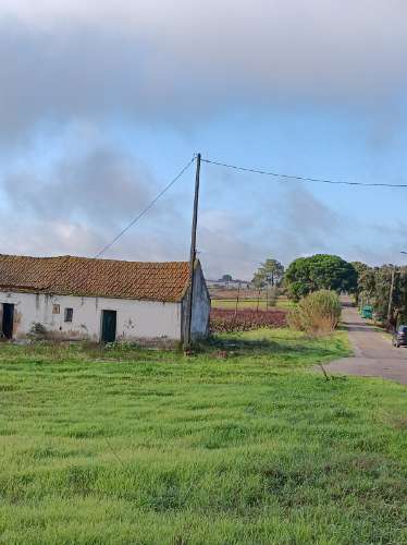 Terreno com casa de habitação em ruinas