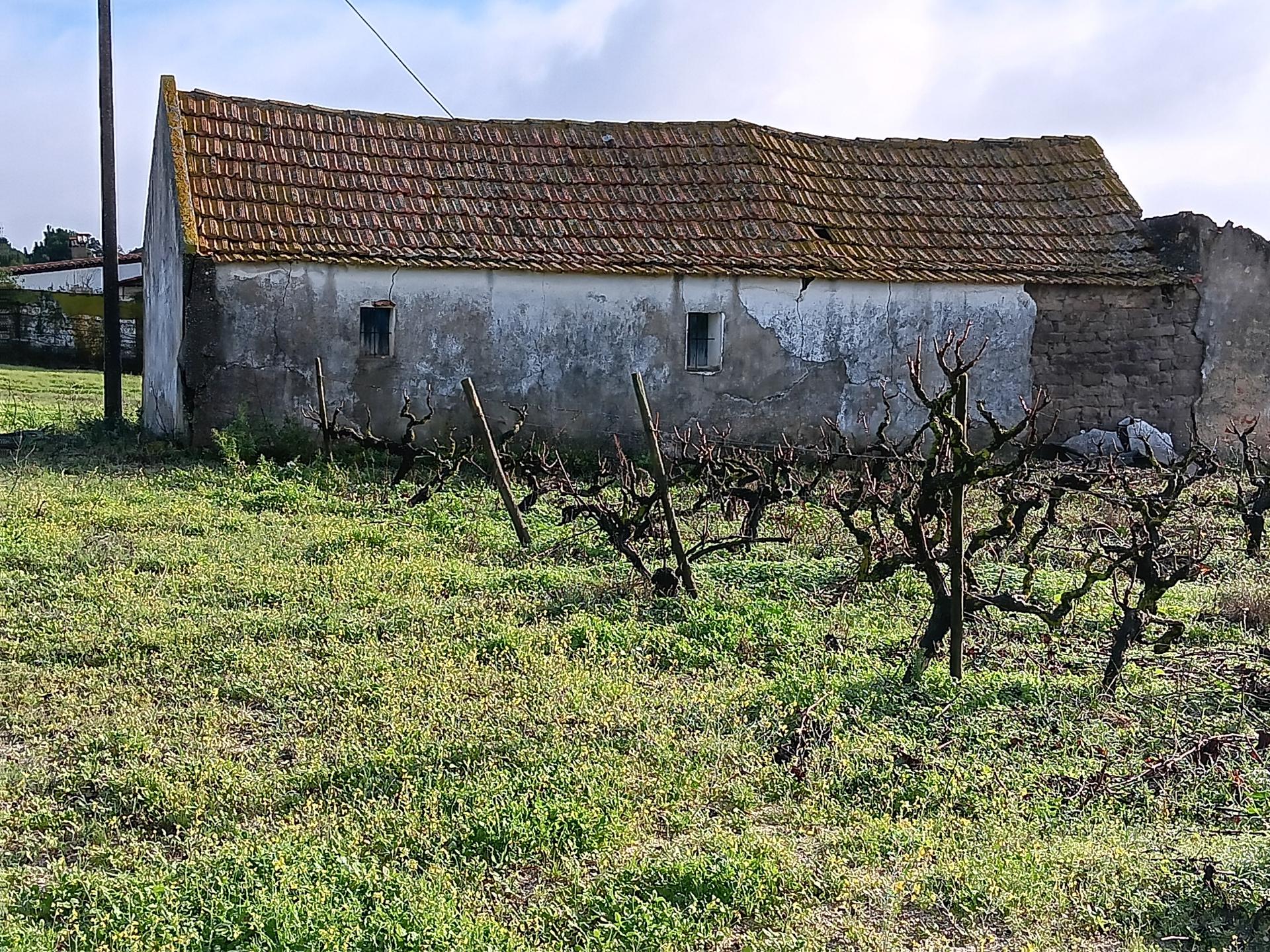Terreno com casa de habitação em ruinas