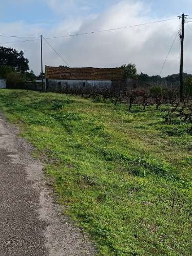 Terreno com casa de habitação em ruinas