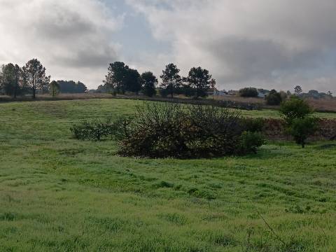 Terreno com casa de habitação em ruinas