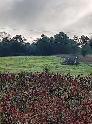 Terreno com casa de habitação em ruinas