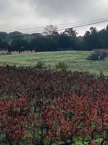 Terreno com casa de habitação em ruinas