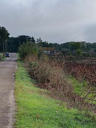 Terreno com casa de habitação em ruinas