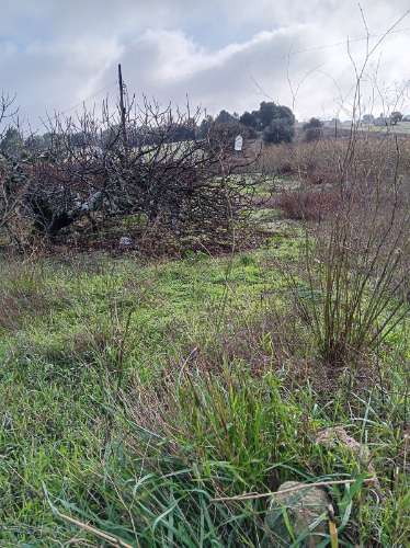Terreno com casa de habitação em ruinas