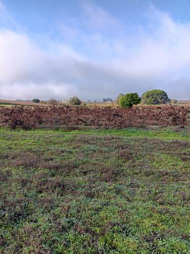 Terreno com casa de habitação em ruinas