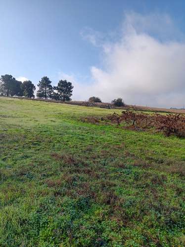 Terreno com casa de habitação em ruinas