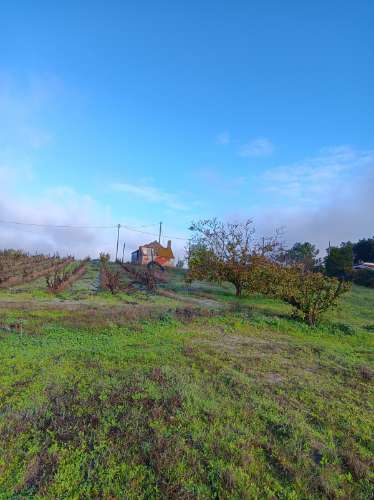 Terreno com casa de habitação em ruinas