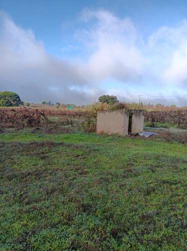 Terreno com casa de habitação em ruinas