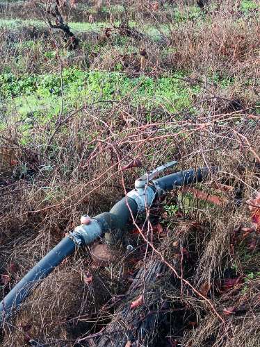 Terreno com casa de habitação em ruinas