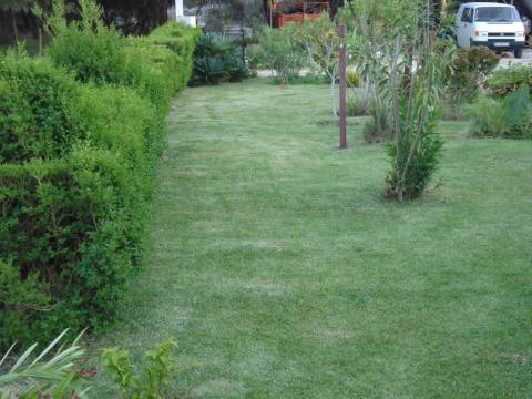 Monte no litoral Alentejano a 3km do mar