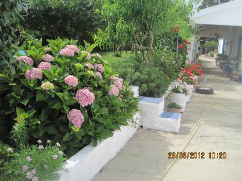 Monte no litoral Alentejano a 3km do mar