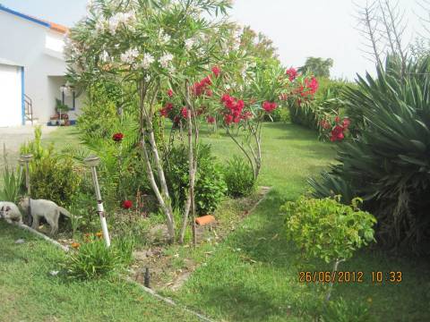 Monte no litoral Alentejano a 3km do mar