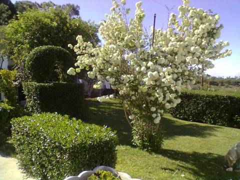 Monte no litoral Alentejano a 3km do mar