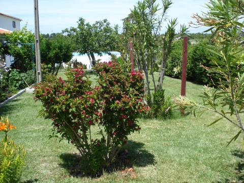 Monte no litoral Alentejano a 3km do mar