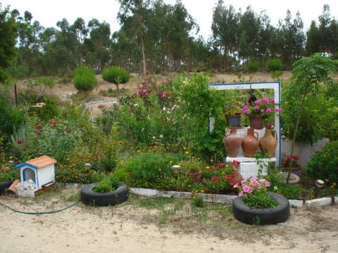 Monte no litoral Alentejano a 3km do mar
