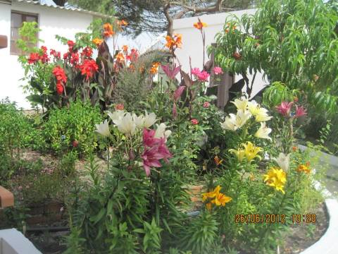 Monte no litoral Alentejano a 3km do mar