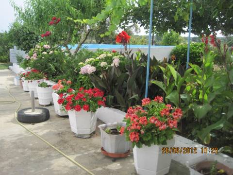 Monte no litoral Alentejano a 3km do mar