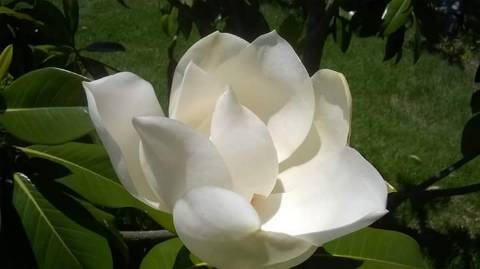 Monte no litoral Alentejano a 3km do mar