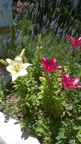 Monte no litoral Alentejano a 3km do mar