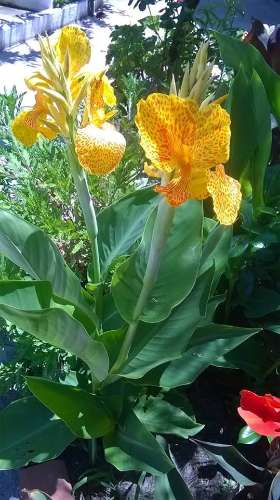 Monte no litoral Alentejano a 3km do mar