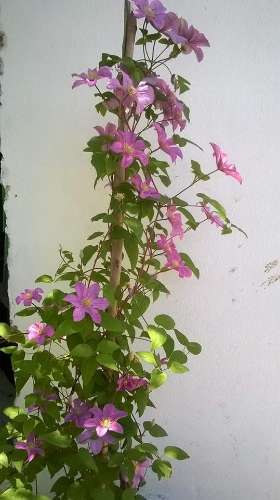 Monte no litoral Alentejano a 3km do mar