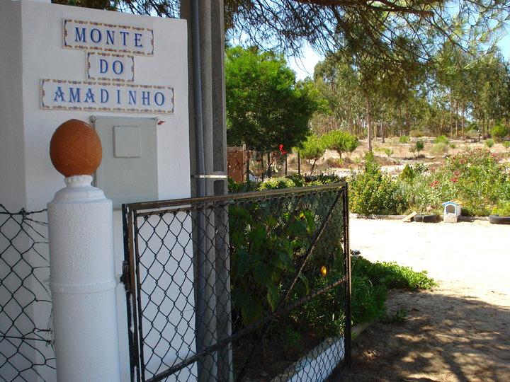 Monte Fontainhas do Mar: Ativo Imobiliário de Alta Rentabilidade a 5 Minutos da Praia