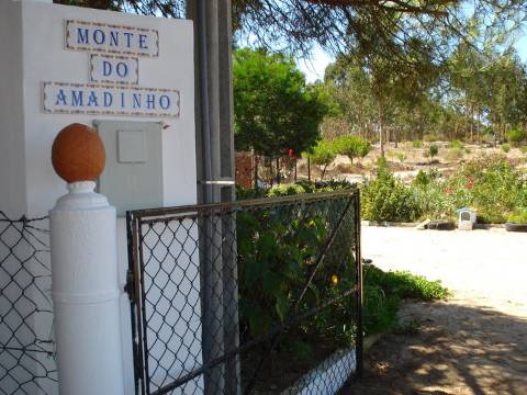 Monte Fontainhas do Mar: Ativo Imobiliário de Alta Rentabilidade a 5 Minutos da Praia
