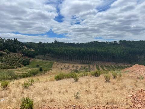 Moradia T3 em Projeto, com Piscina no Cadaval