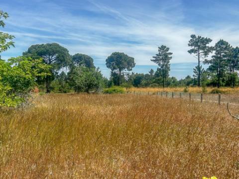 Moradia T3 Contemporânea em Construção | Sesimbra, Setúbal