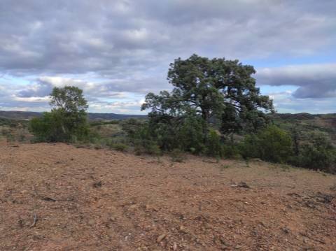 TERRENO COM 55.800 M2 COM POSSIBILIDADE DE CONSTRUÇÃO - ALCARIAS GRANDES - CASTRO MARIM - ALGARVE